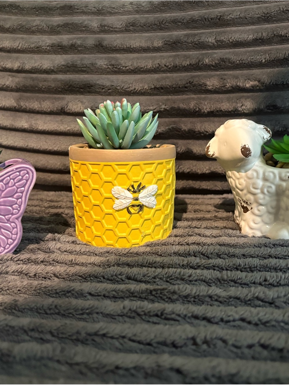 3 ceramic succulent decor planters